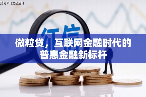 平镇微粒贷，互联网金融时代的普惠金融新标杆
