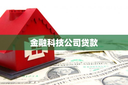 平镇金融科技公司贷款