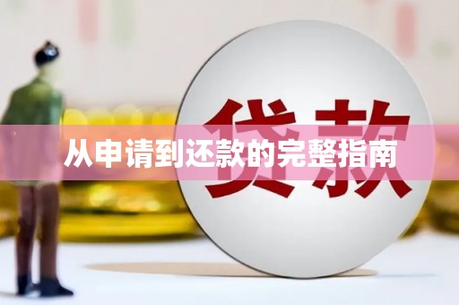 平镇从申请到还款的完整指南