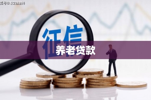 平镇养老贷款