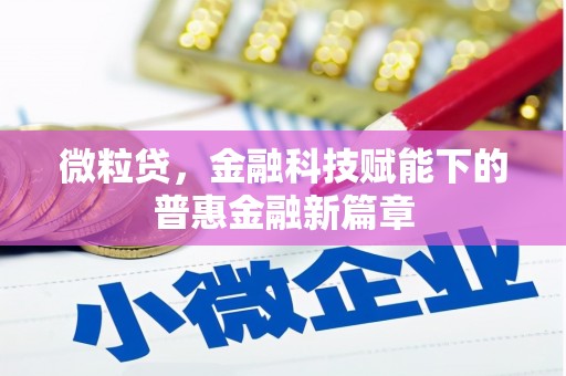 平镇微粒贷，金融科技赋能下的普惠金融新篇章