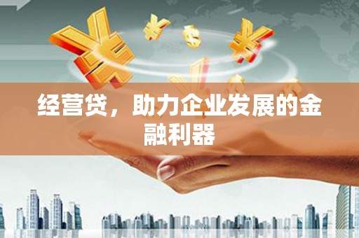 平镇经营贷，助力企业发展的金融利器