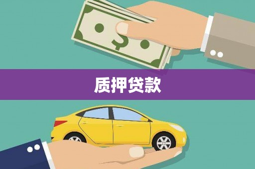 平镇质押贷款