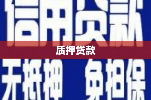 平镇质押贷款