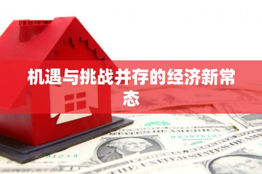 平镇机遇与挑战并存的经济新常态