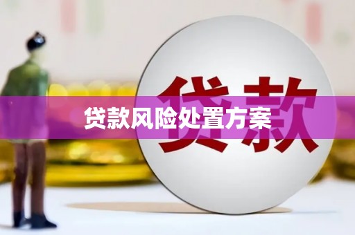 平镇贷款风险处置方案