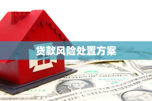 平镇贷款风险处置方案