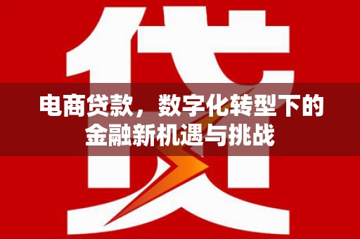 平镇电商贷款，数字化转型下的金融新机遇与挑战