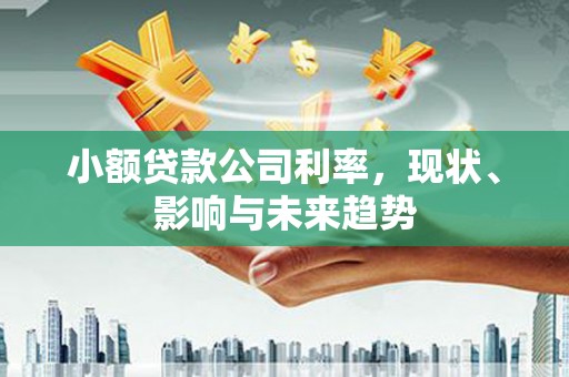 平镇小额贷款公司利率，现状、影响与未来趋势