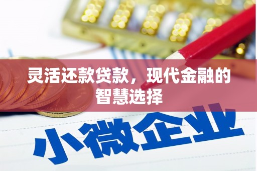 平镇灵活还款贷款，现代金融的智慧选择