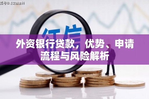平镇外资银行贷款，优势、申请流程与风险解析