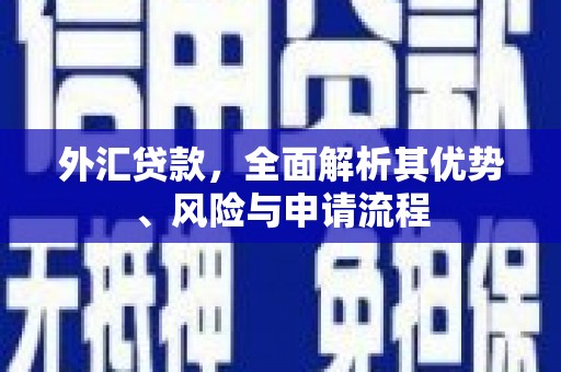 平镇外汇贷款，全面解析其优势、风险与申请流程