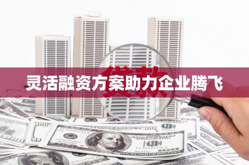 平镇灵活融资方案助力企业腾飞