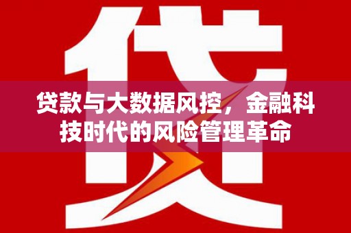 平镇贷款与大数据风控，金融科技时代的风险管理革命