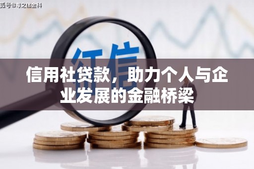 平镇信用社贷款，助力个人与企业发展的金融桥梁
