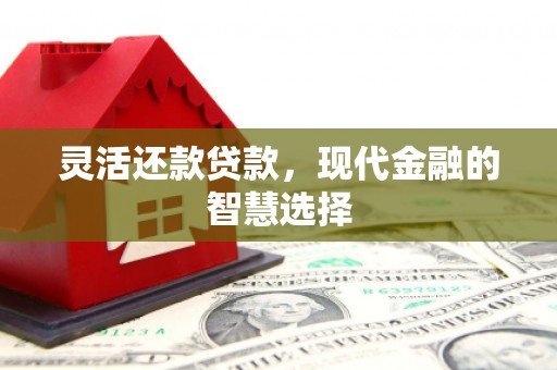 平镇灵活还款贷款，现代金融的智慧选择
