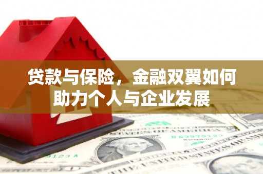 平镇贷款与保险，金融双翼如何助力个人与企业发展