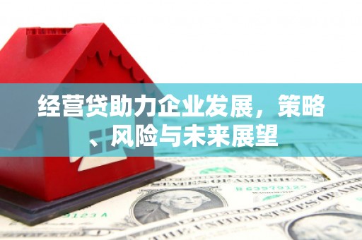 平镇经营贷助力企业发展，策略、风险与未来展望
