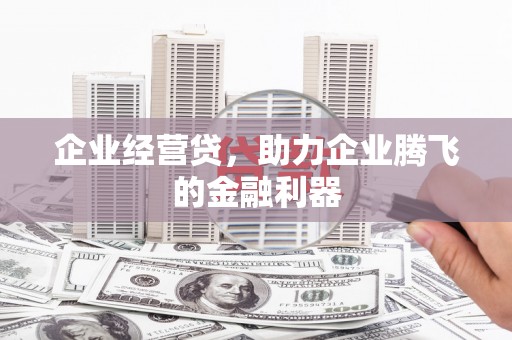 平镇企业经营贷，助力企业腾飞的金融利器