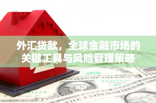 平镇外汇贷款，全球金融市场的关键工具与风险管理策略