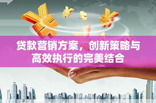 平镇贷款营销方案，创新策略与高效执行的完美结合