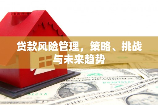 平镇贷款风险管理，策略、挑战与未来趋势