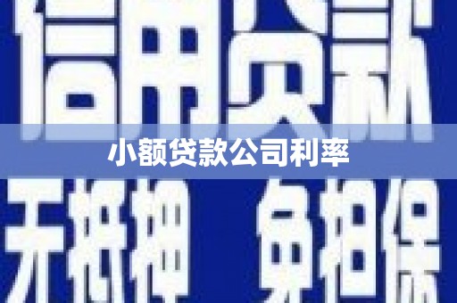 平镇小额贷款公司利率