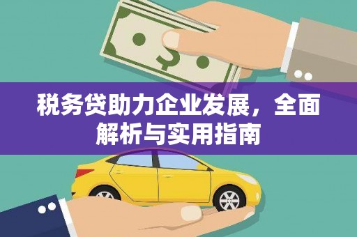 平镇税务贷助力企业发展，全面解析与实用指南