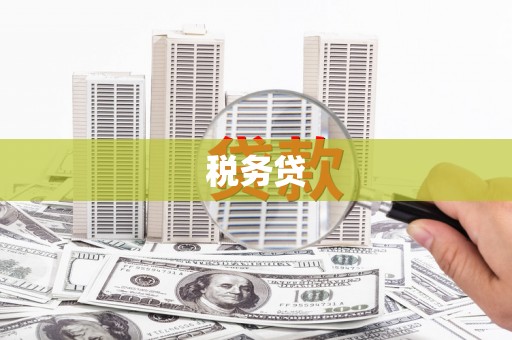 平镇税务贷