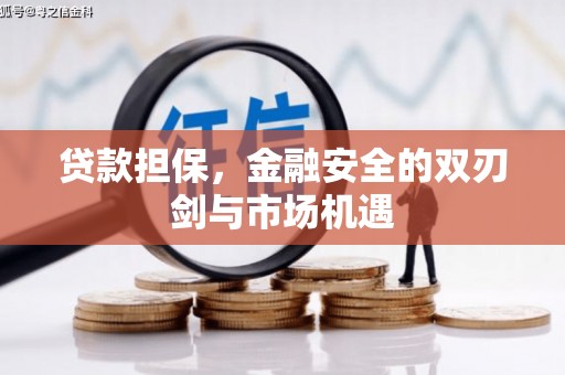 平镇贷款担保，金融安全的双刃剑与市场机遇