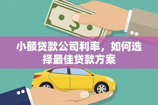平镇小额贷款公司利率，如何选择最佳贷款方案