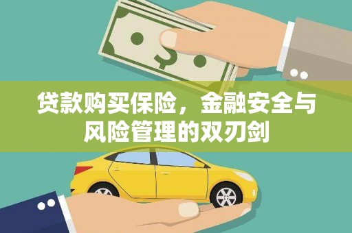 平镇贷款购买保险，金融安全与风险管理的双刃剑