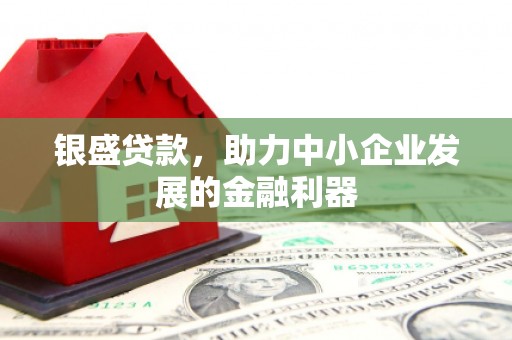平镇银盛贷款，助力中小企业发展的金融利器