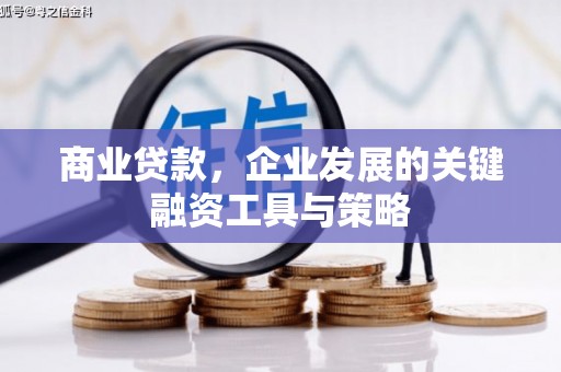平镇商业贷款，企业发展的关键融资工具与策略
