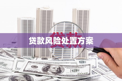 平镇贷款风险处置方案