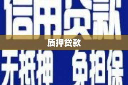 平镇质押贷款