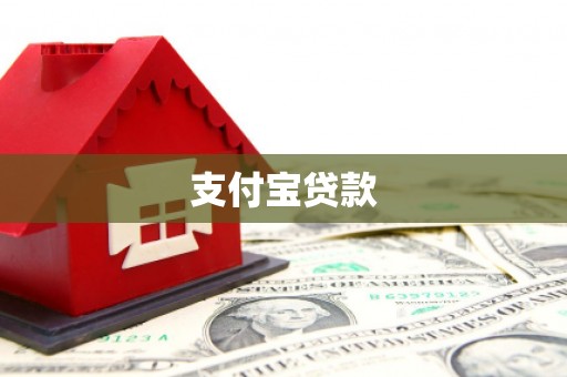 平镇支付宝贷款