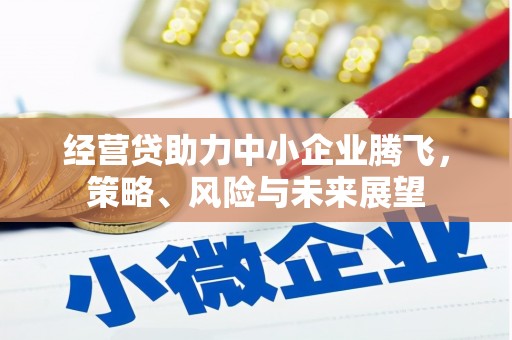 平镇经营贷助力中小企业腾飞，策略、风险与未来展望
