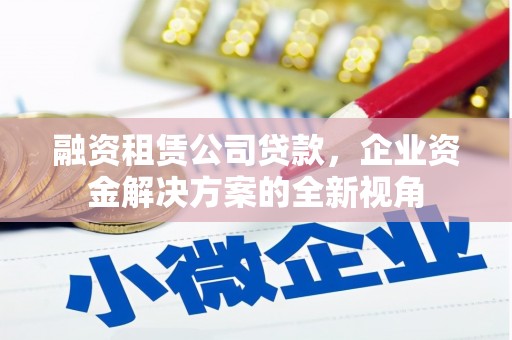 平镇融资租赁公司贷款，企业资金解决方案的全新视角