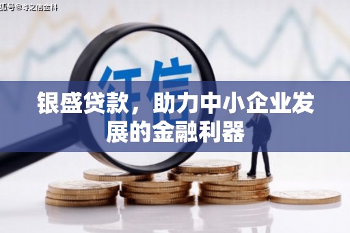 平镇银盛贷款，助力中小企业发展的金融利器
