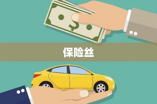 平镇保险丝