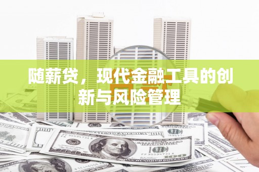 平镇随薪贷，现代金融工具的创新与风险管理