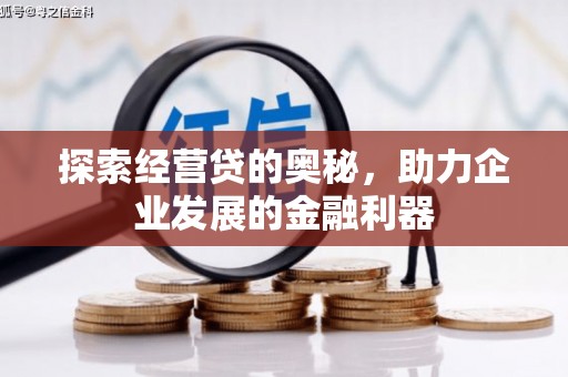 平镇探索经营贷的奥秘，助力企业发展的金融利器
