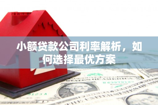 平镇小额贷款公司利率解析，如何选择最优方案