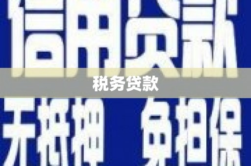 平镇税务贷款