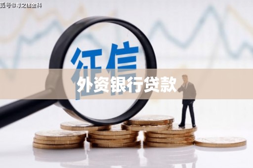 平镇外资银行贷款