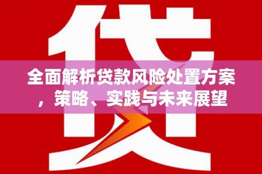 平镇全面解析贷款风险处置方案，策略、实践与未来展望