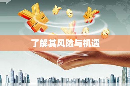 平镇了解其风险与机遇