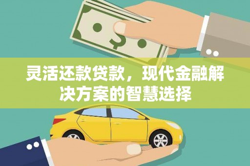 平镇灵活还款贷款，现代金融解决方案的智慧选择