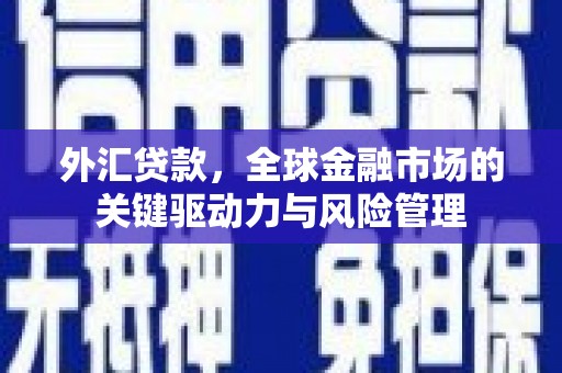 平镇外汇贷款，全球金融市场的关键驱动力与风险管理